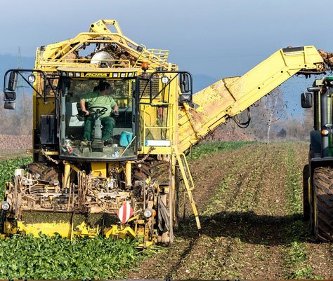 Farming